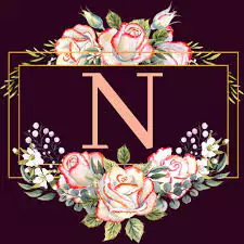 beautiful n letter whatsapp dp